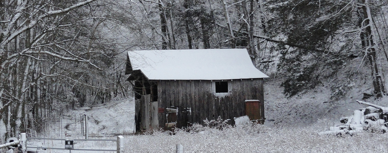 Wills Estates Attorney